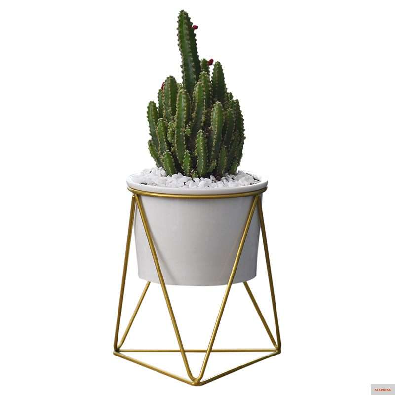 Фото Planter Pots Indoor 6 inch Modern Garden Ceramic Round Bowl with Metal Air Plant Stand for Succulent Cactus (White + Gol | Дом и сад
